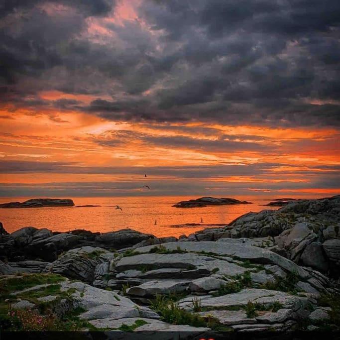 Close To Sea, Central, Rent A Boat, Mountain Hike, Wifi, Free Parking Haug Esterno foto